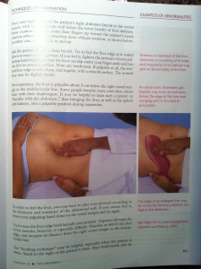 first physician assistant book