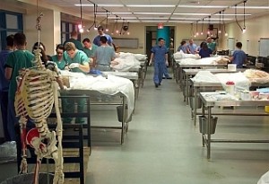 pa school cadaver lab