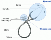 The Stethoscope and How To Use It
